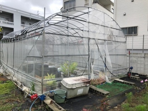 【取引成立しました】園芸用パイプハウス
