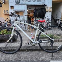 💢💢 クロスバイク 27インチ 自動ライト 付き カギ 付き 6変速 白 配達可能