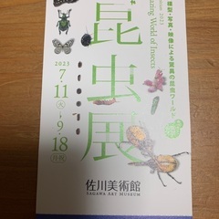 佐川美術館　昆虫展チケット　4枚まであります
