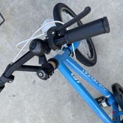 ルイガノ　18インチ　水色