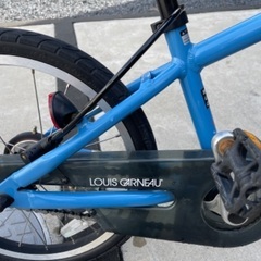 ルイガノ　18インチ　水色