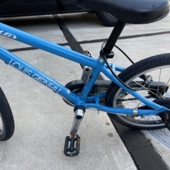 ルイガノ　18インチ　水色