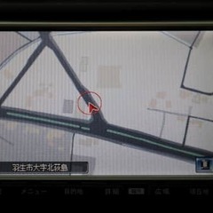 見かけない車種ですね！