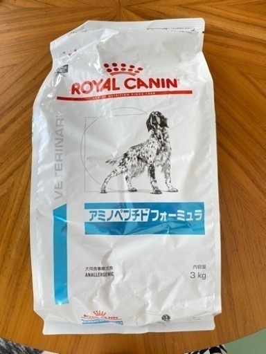 引き渡し先がきまりました！