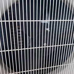 美品絶好調】MITSUBISHI【MSZ-L2818-W】三菱電機 霧ヶ峰 2.8kw 