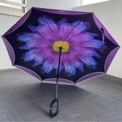 逆立ちしている傘