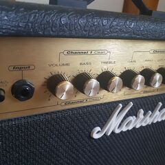 入門者向け】初心者向けSELDER製ストラトタイプエレキギター＋Marshall 