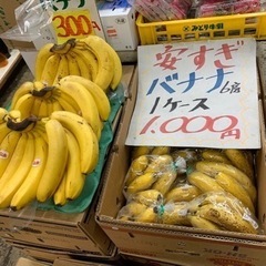バナナ　1ケース （70本ぐらい）　1000円（税込）