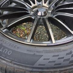 ウェッズスポーツ SA-15R 決まりました