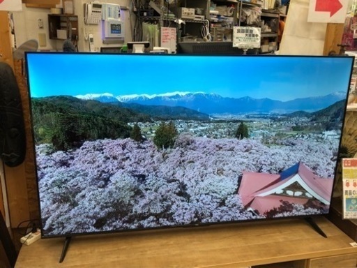 【愛品館江戸川店】TCL 65型4Kチューナー内蔵液晶テレビ（2023年製） ID:141-008117-007