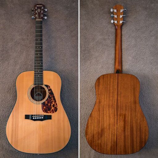 MORRIS M-35　2012年 単板トップ美品