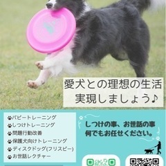 愛犬のお悩み解決します！