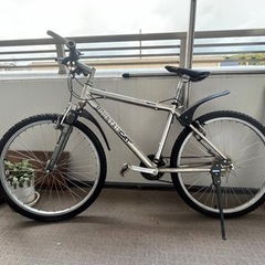 お話中 panasonic mountain cat