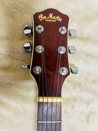 Pro Martin CUSTOM ギター Pro Martin CUSTOM ギター