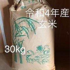 【令和4年産】滋賀　キヌヒカリ　お米　玄米　30kg