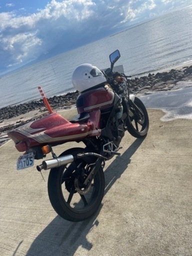 HONDA NS1 GF250興味あります