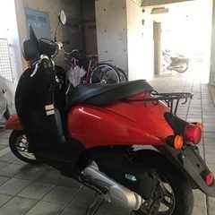 決まりました‼️綺麗‼️ホンダトゥデイAF67 FI