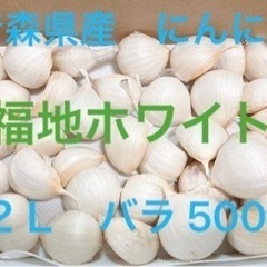 令和5年度 青森県産 福地ホワイト ニンニク バラ 500g