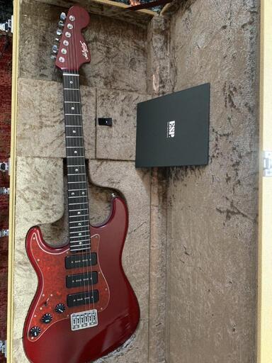 ESP navigator ST-800 Custom Order レフティ