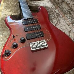 ESP navigator ST-800 Custom Order レフティ