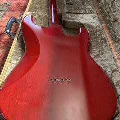 ESP navigator ST-800 Custom Order レフティ