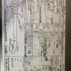 ESP navigator ST-800 Custom Order レフティ