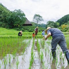 しがらきの里 農業塾第5回  【大根と菜っ葉の種をまいてみよう！】