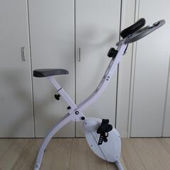 RIORES(リオレス) FITNESS BIKE X2 (フィ...