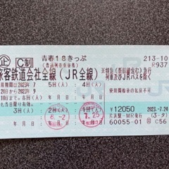 【ネット決済・配送可】青春18切符(2回使用)
