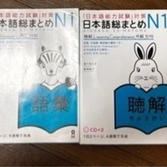日本語能力試験N1 日本語総まとめN1 4セット