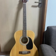legend ARIA FG-15N アコースティックギター