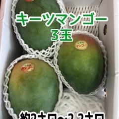 【説明必読】キーツマンゴー３玉