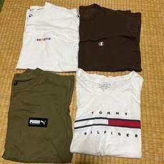 レディース　Tシャツ　1枚500円