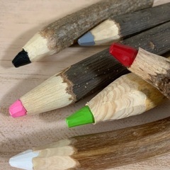 インテリア　木の色鉛筆