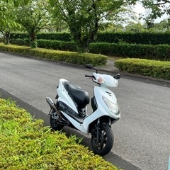 YAMAHA シグナス二型国内