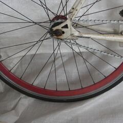 700C　クロモリ　シングルフリーギア　ピストバイク　管理NO.20230605-03