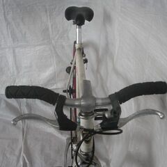 miyata（ミヤタ）FREEDOM（フリーダム）シングルフリーギア　ピストバイク　管理NO.20230605-04