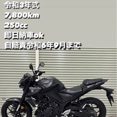 【ネット決済・配送可】ヤマハ　MT25 250cc  ワンオーナ...
