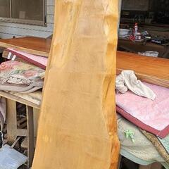 栃　トチ　カウンター　一枚板　希少