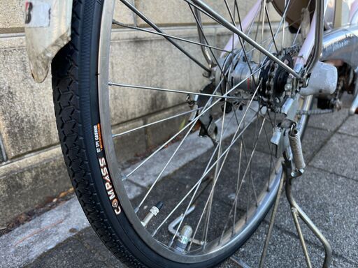 Amazon | ブリヂストン(BRIDGESTONE) シングルパワー点灯虫 自転車 