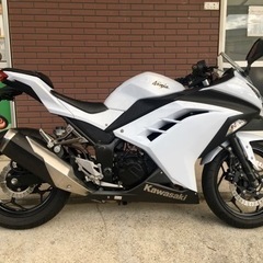 Ninja250 19895km セル1発始動