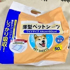 薄型 ペットシーツ 19枚 44cm×60cm しっかり吸収 犬...