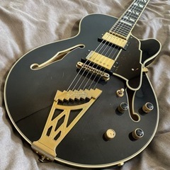 <8/11夕方まで> セミアコ　ディアンジェリコ　nyss-3B