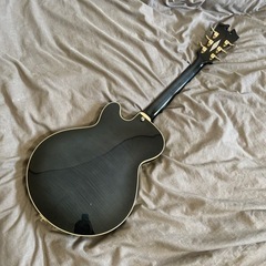 <8/11夕方まで> セミアコ　ディアンジェリコ　nyss-3B