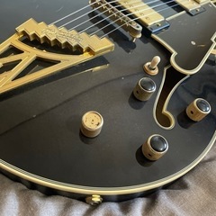 <8/11夕方まで> セミアコ　ディアンジェリコ　nyss-3B