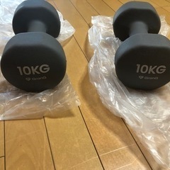 10kg ダンベル✖️2 🏋🏻‍♂️