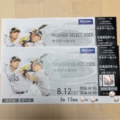 【破格✨早い者勝ち‼️】みずほシート　8月12日(土) ホークス...