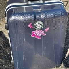 スーツケース　　world traveler