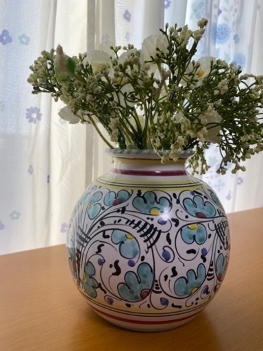 【受付終了】ユーフォルビア　ピグエリー　親株　ガーデニング　観葉植物　塊根植物　多肉植物　ビザールプランツ ユーフォルビア ピグエリー 親株 ガーデニング 観葉植物 塊根植物 多肉