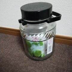 梅酒 果実酒 ビン 3L